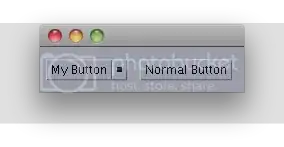 My Custom Button CDE/Motif PLAF Example