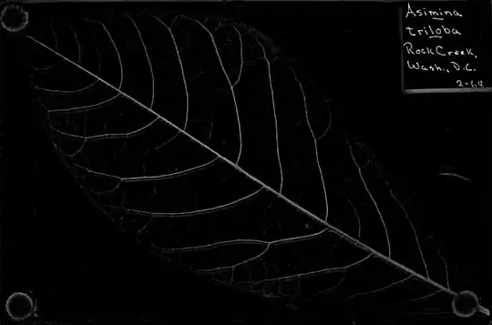 Picture of weird symbols in Python 3.7 on PC