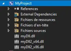 Visible dll file in the project