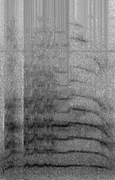 bar_label with percentages