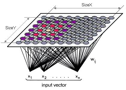 www.lohninger.com/helpcsuite/kohonen_network_-_background_information.htm