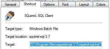error in the git shell