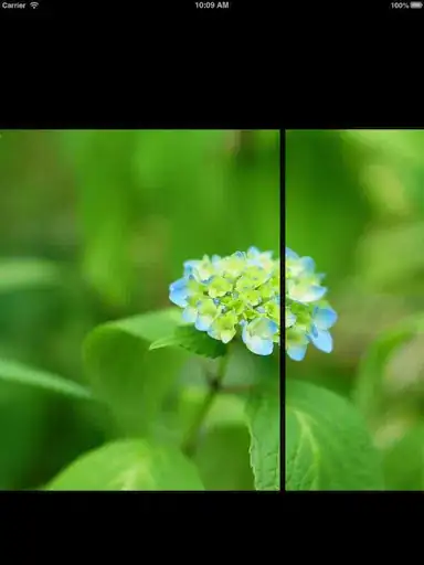 Namecheap configuration