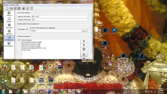 Server Runtime Environment