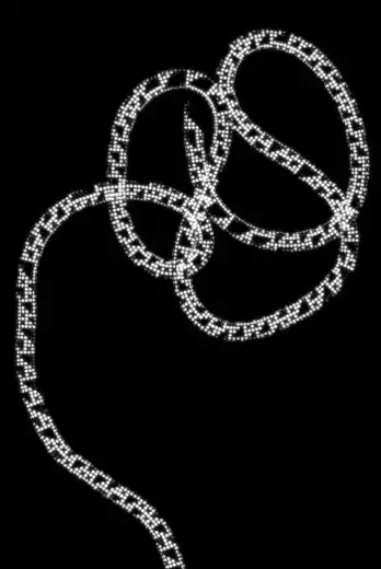 phantom screenshot after calling phantom.exit()