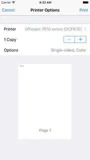 Portrait print preview