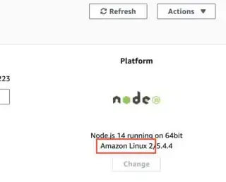 Elastic Beanstalk Platform type