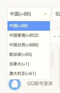 screenshot of the select element