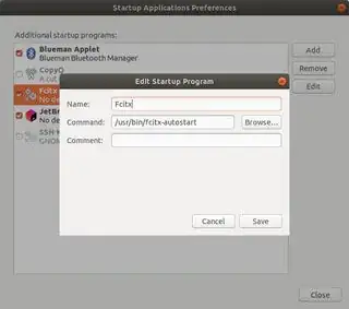 fcitx startup program