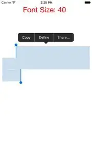 textView with font size 40