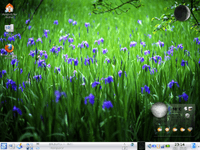 ./kubuntu804.jpg