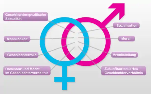 Theorymap Braindrain auf Google Maps