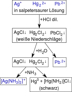 Schema der Salzsäuregruppe