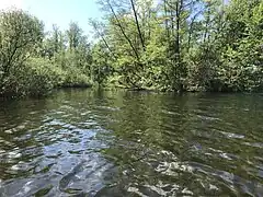 Der die Insel abtrennende Kanal ist nicht passierbar, außer für Schildkröten.