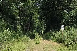 Nur die Pfeiftafel lässt unter der üppigen Vegetation noch die Gleise erahnen.