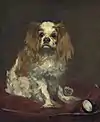 Édouard Manet:King Charles Spaniel