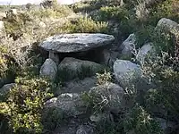 Dolmen Estanys III