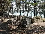 Dolmen de la Pointe de Liouse