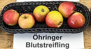 Öhringer Blutstreifling