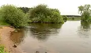 Mündung der Örtze (links) in die Unteraller bei Winsen (Aller)