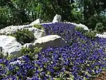 Alpiner Steingarten mit Blumenbeeten