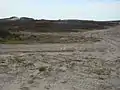 Übungsgelände mit Panzerspuren