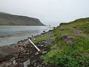 Im Þaralátursfjörður