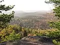 Taiga bei Krasnojarsk