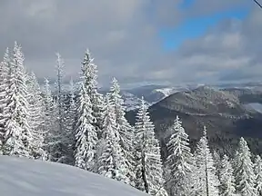 Winter 2013