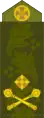 Бригадний генерал (Brigadegeneral)