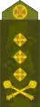 Генерал-лейтенант (Generalleutnant)