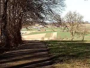  Natur Eschelbronn Vierter