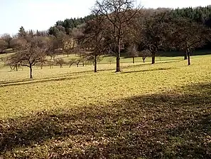Die Natur Eschelbronns ist freundlich