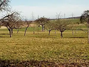  Die Natur von Eschelbronn ist die dritte