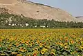 Blick auf Beit Alfa und Gilboa