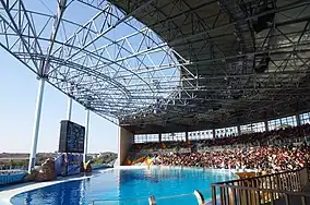 Delphinarium