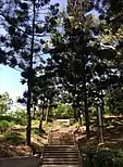 Zhongshan-Park