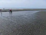 Waisanding-Sandbank
