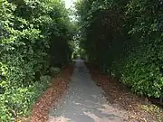Hohlweg in Yanpu