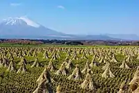 Der Iwate von Tamayama aus gesehen