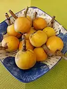 Japanische Wollmispel (Loquat, Nespoli)