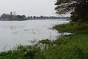 Hutoupi