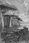 („Es ist nur ein Wald von Pilzen“, sagt er.) aus dem Roman Die Reise zum Mittelpunkt der Erde von Jules Verne, 13. Mai 1873.