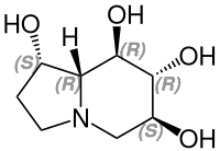 Strukturformel von (+)-Castanospermin
