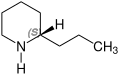 (+)-Coniin