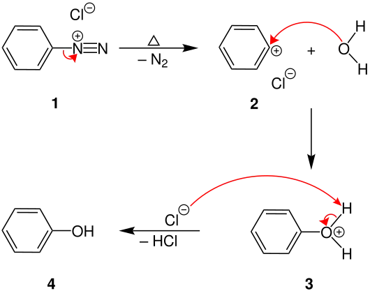 Mechanismus der Phenolverkochung