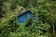 Christliche Kirche der Iban im Regenwald