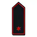 (Werk-)Feuerwehrmann/-frau