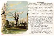 3 – Frihlingsbutn! (1906).Mit Zeichnung und Foto von Otto Peuschel; Ortsansicht von Crottendorf, koloriert.