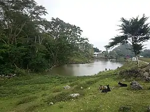 Dato Rua